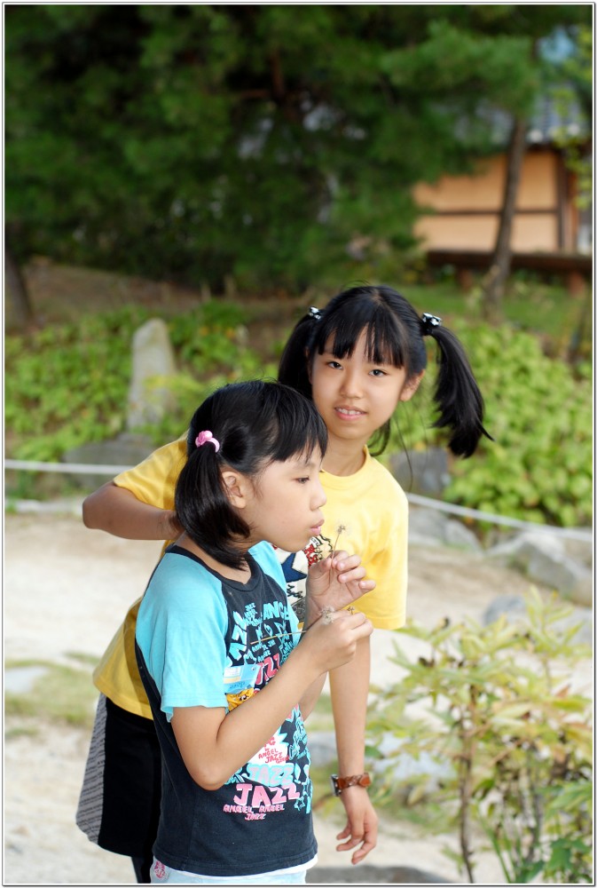 코스모스 뜰에서..