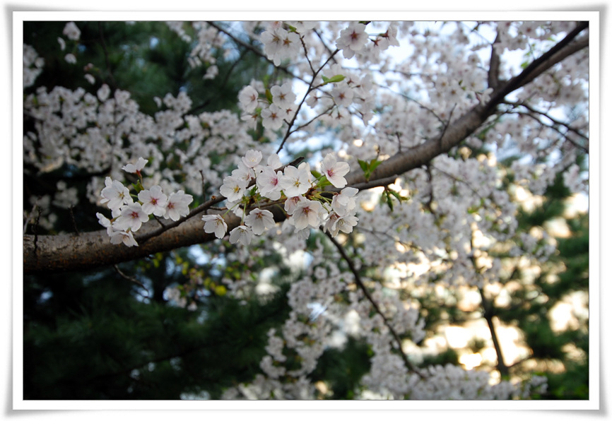 사진찍기 싫어하는 루루와 함께!