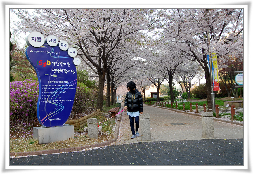 구름다리를 건너면서..