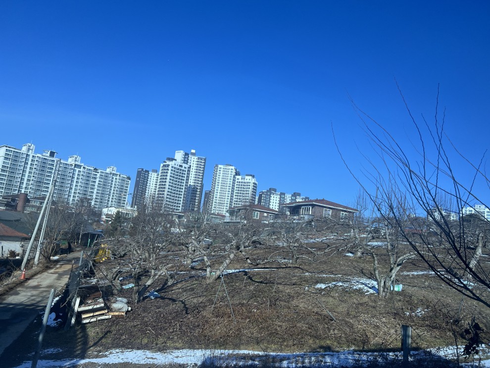 창밖으로 보이는 풍경