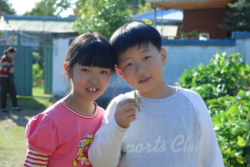 ...오후~신기해~