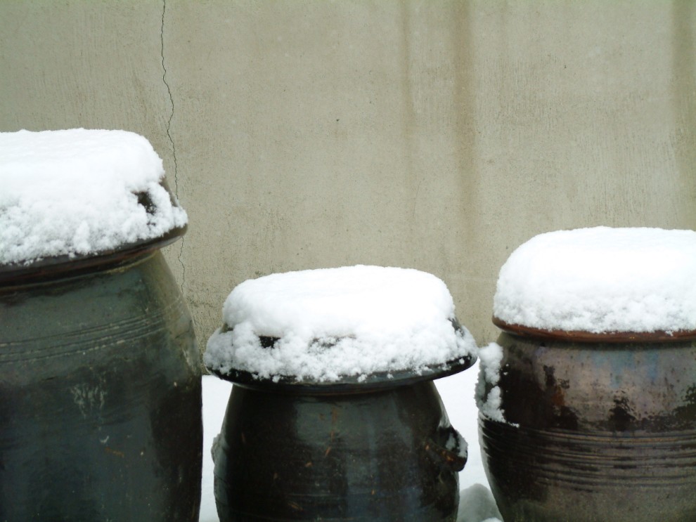 ...충주 제일 감리 교회