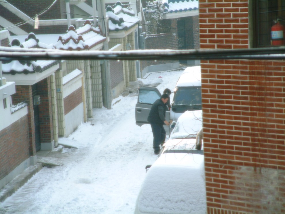 ..더욱 추워보이는 화분