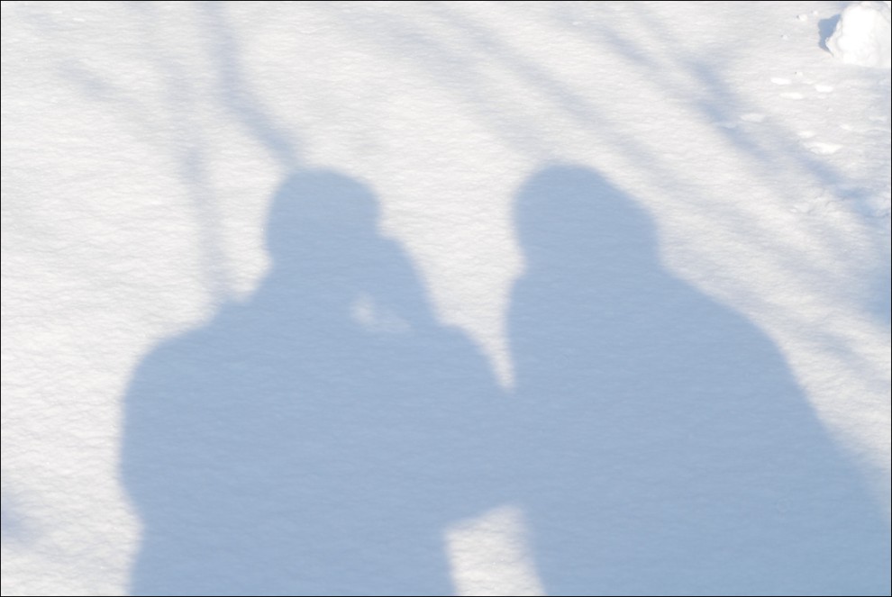 ...소나무위에 쌓인눈