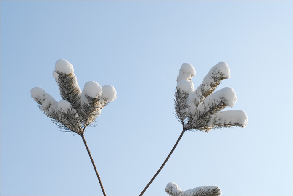 ...행복한 나들이