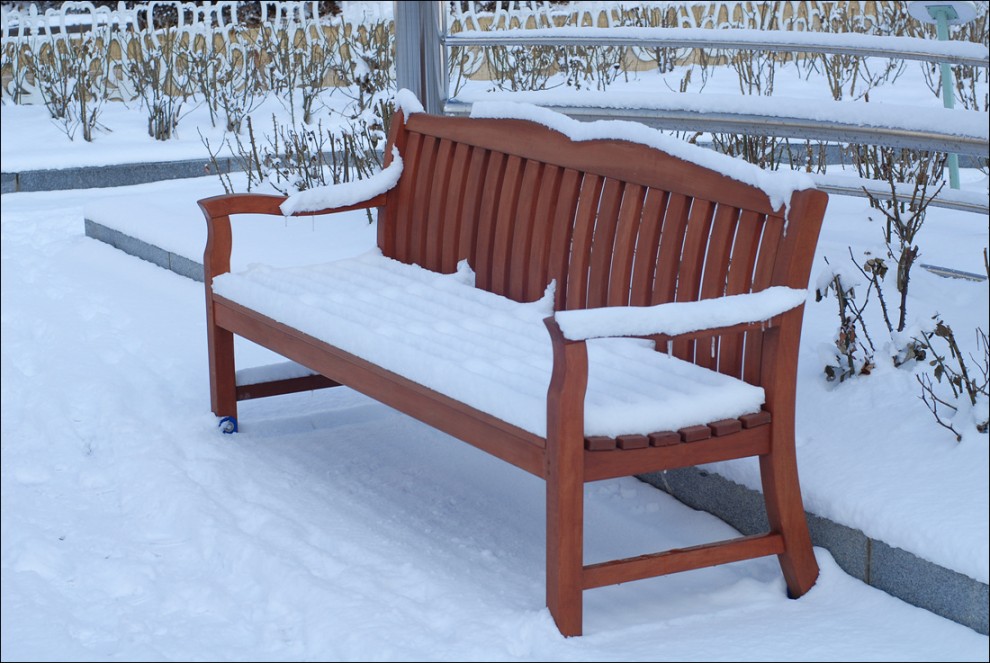 ...비둘기 공원..